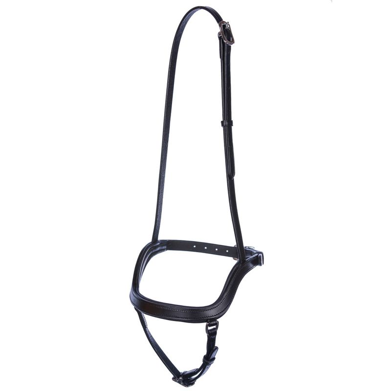 Eques Singula  Ergonomisk Fusionsnesereim